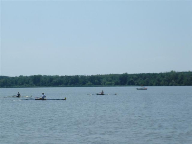 DSCF5103 (Medium)